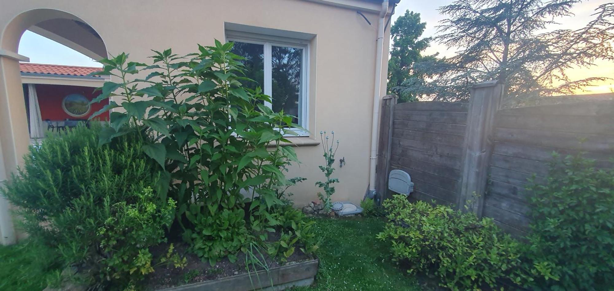 Gite Calme #2 Ou 3 Pers #Piscine #Cholet #Wifi Haut Debit #Travailleurs Thales Lacroix Et Autres Entreprises #Petits Dejeuners Et Repas Possibles Sur Demande Le May-sur-Evre ภายนอก รูปภาพ